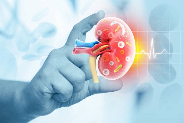 Cardiology