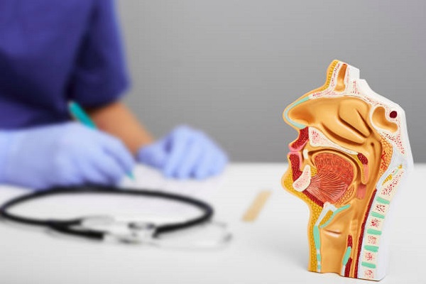 Cardiology